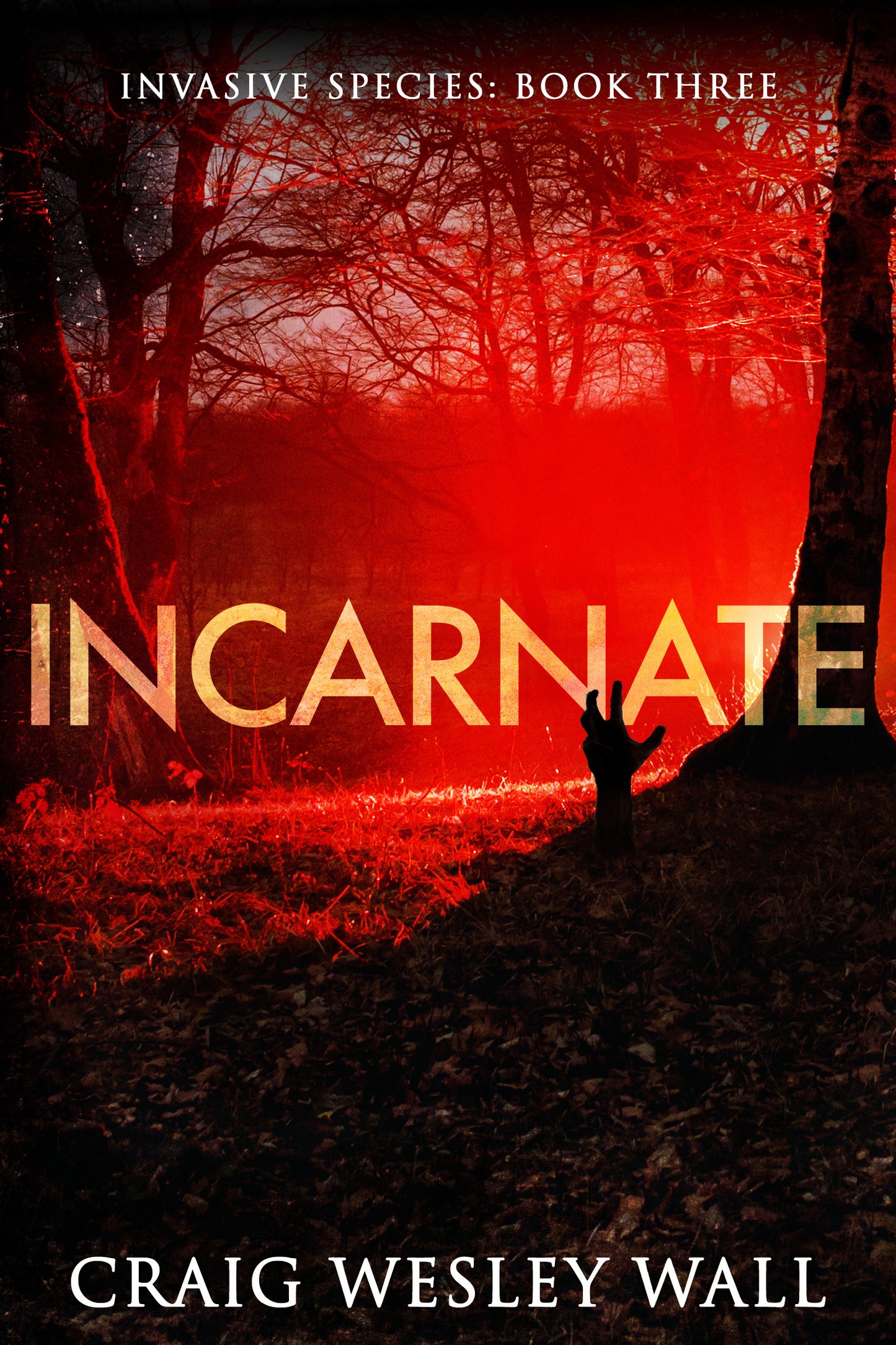 Incarnate By Craig Wesley Wall
