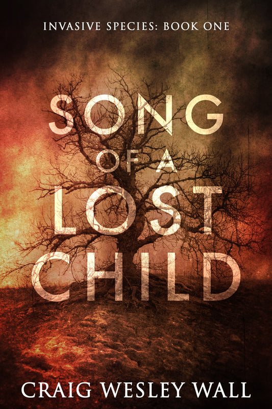 Song of a Lost Child By Craig Wesley Wall