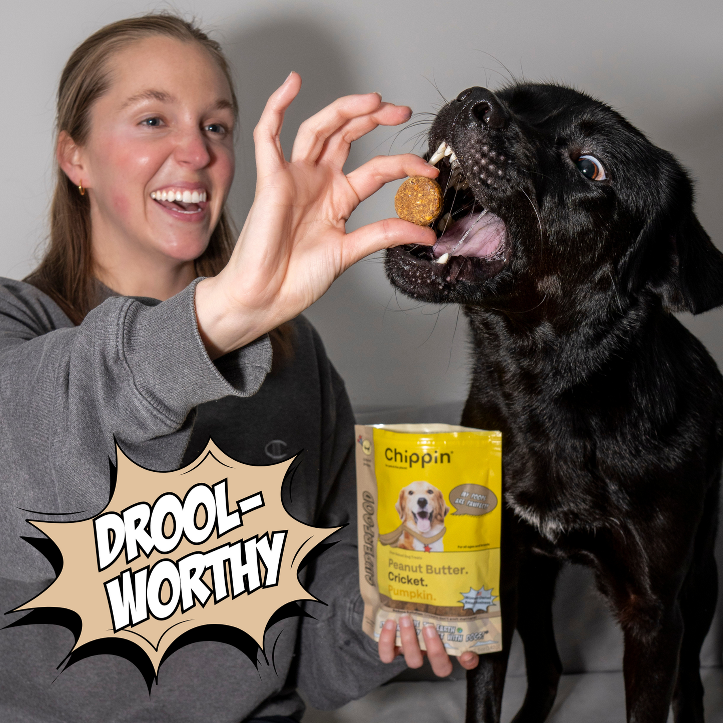 Gut-Healthy Dog Treat Variety Bundle