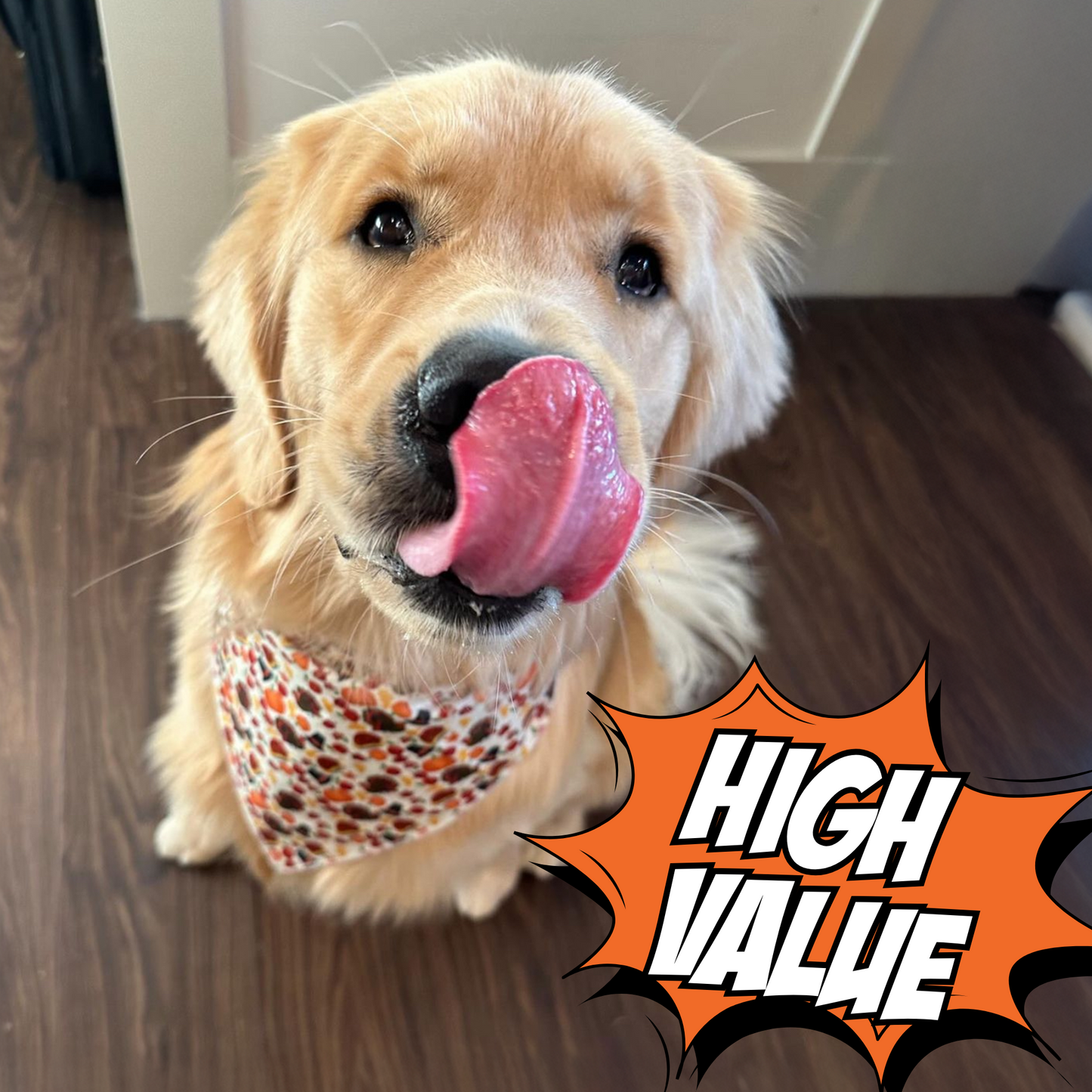 Cricket & Sweet Potato Jerky Dog Treats