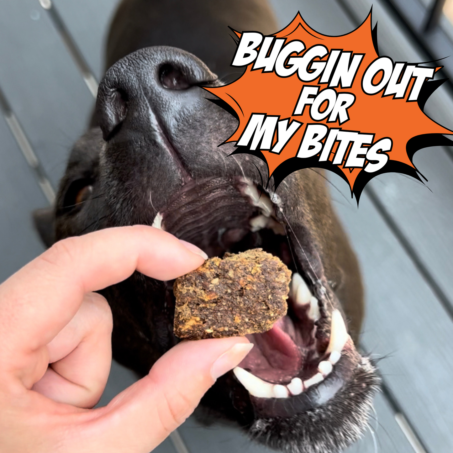 Cricket & Sweet Potato Jerky Dog Treats