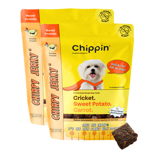 Cricket & Sweet Potato Jerky Dog Treats