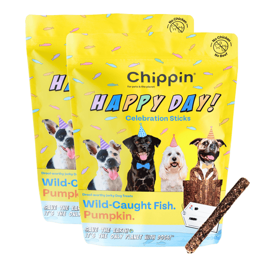 Birthday Dog Treats